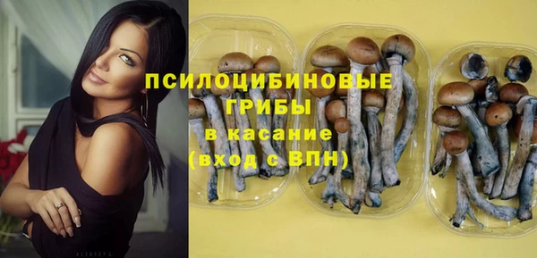 дурь Гусь-Хрустальный