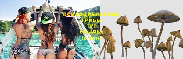 мефедрон Дмитриев