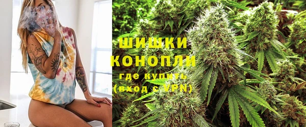 дживик Дмитровск