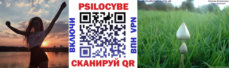 Купить  Западная Двина  Псилоцибиновые грибы прущие грибы 