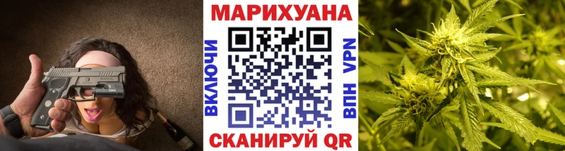 Купить где  Западная Двина  Конопля сатива 